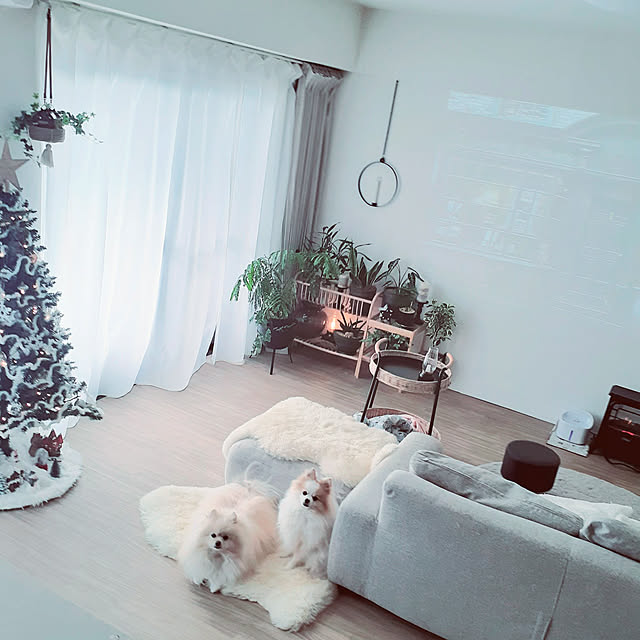 noahさんの実例写真