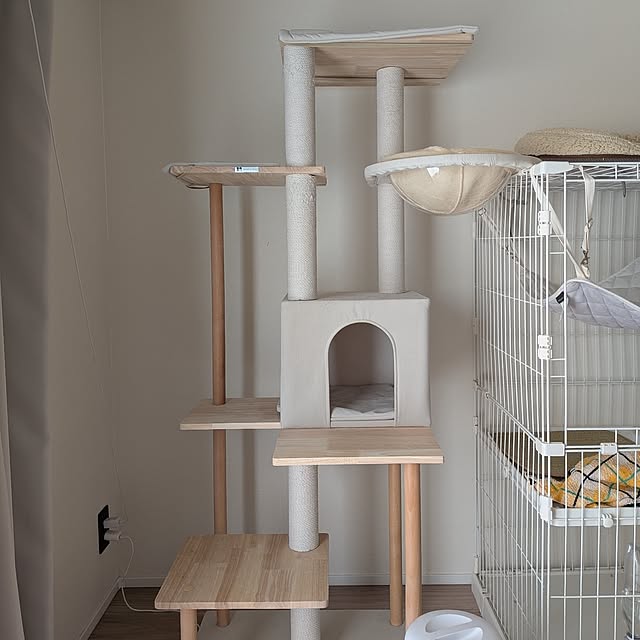 sinsinさんの実例写真