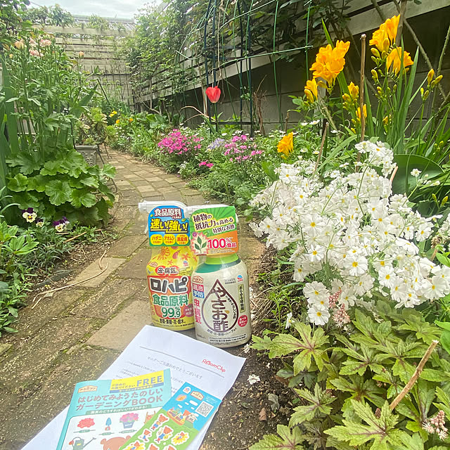 na-chanさんの実例写真