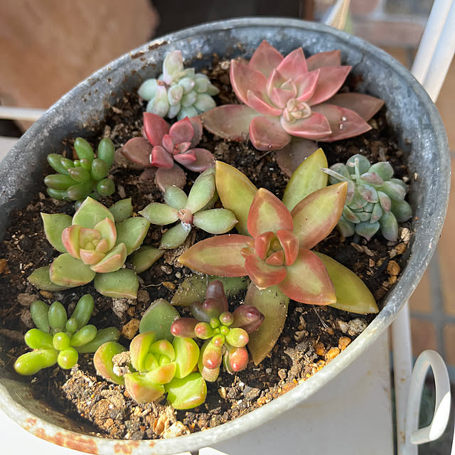 samanthakitchenさんの部屋