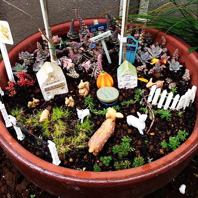 tanikunosukeさんの実例写真