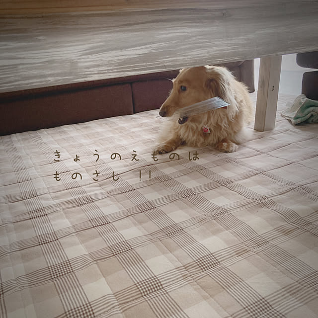 -Riley-mama.-さんの実例写真