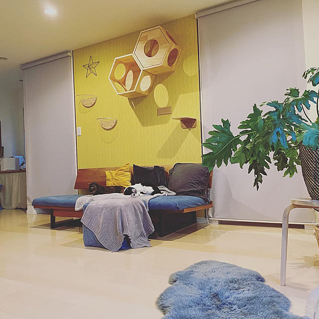 y.さんの実例写真