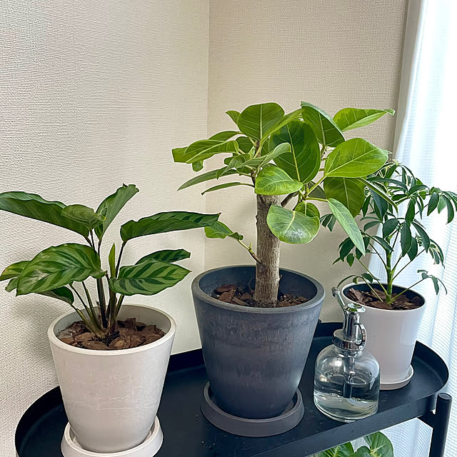 shidakaさんの部屋
