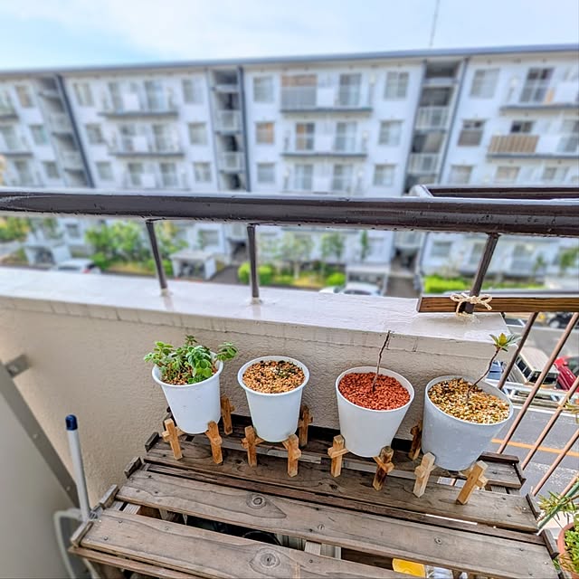 mi-saさんの実例写真