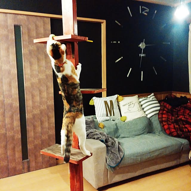 l..tomesanさんの実例写真