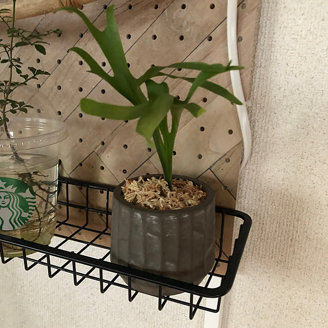 CoffeeHouseさんの部屋