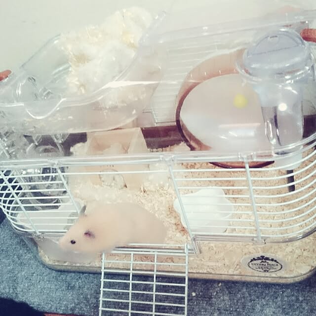 kanakoさんの実例写真