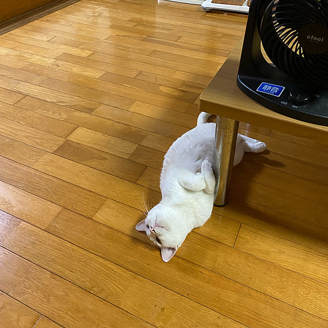 Mugiさんの実例写真