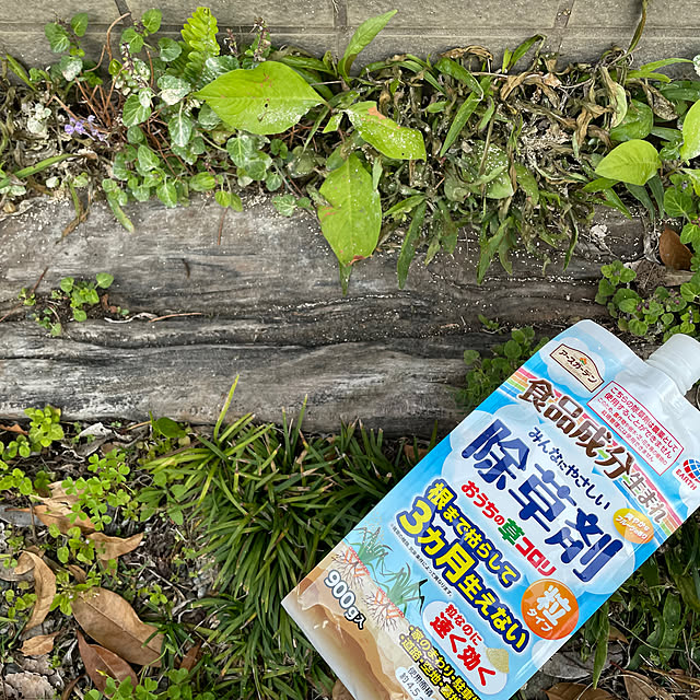 burubonさんの実例写真