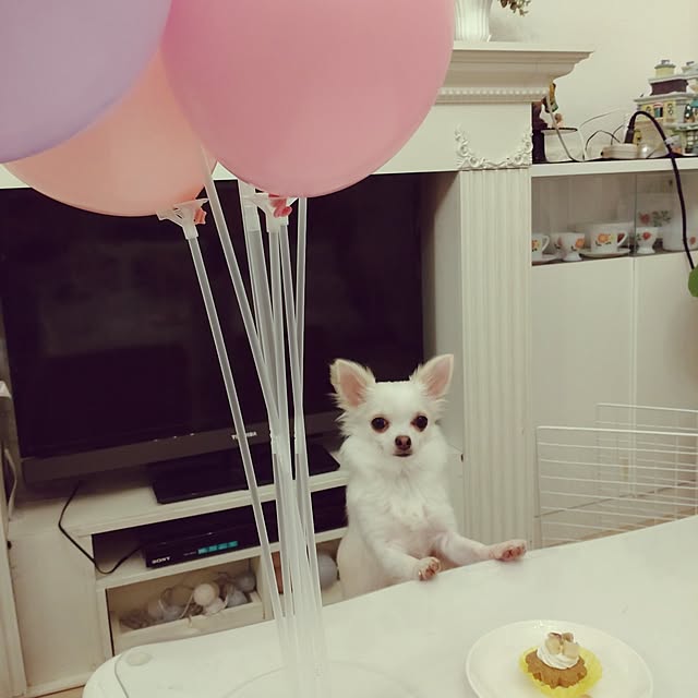 Bienvenueさんの部屋