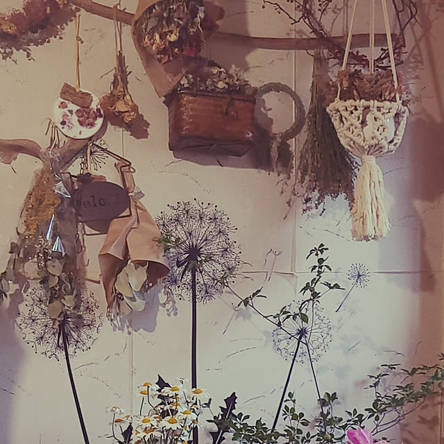 monnさんの実例写真