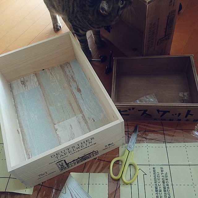 umecchuさんの実例写真