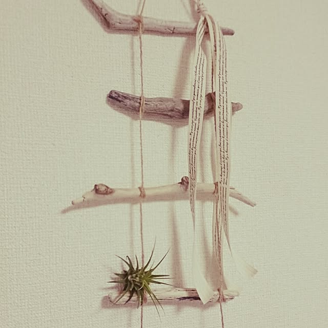 kaanaさんの実例写真