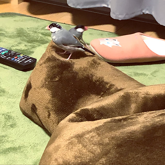 yurie278さんの実例写真