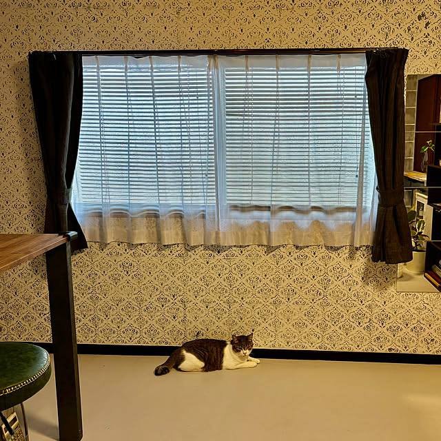 Mikazukiさんの実例写真
