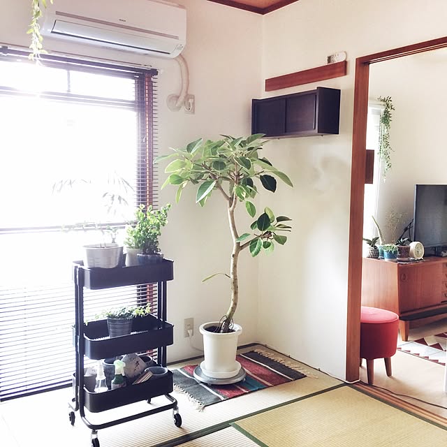 hitomiさんの実例写真