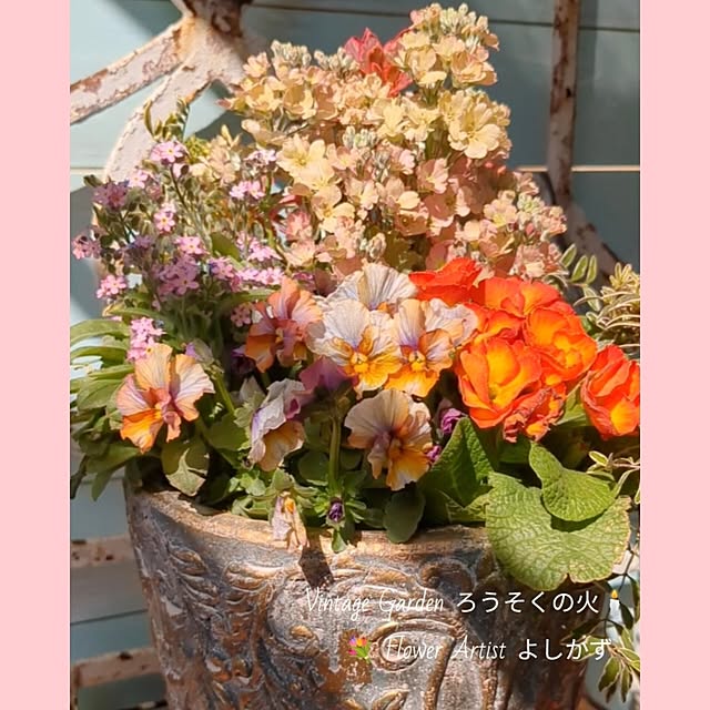 ElegantiqueFlowerさんの部屋