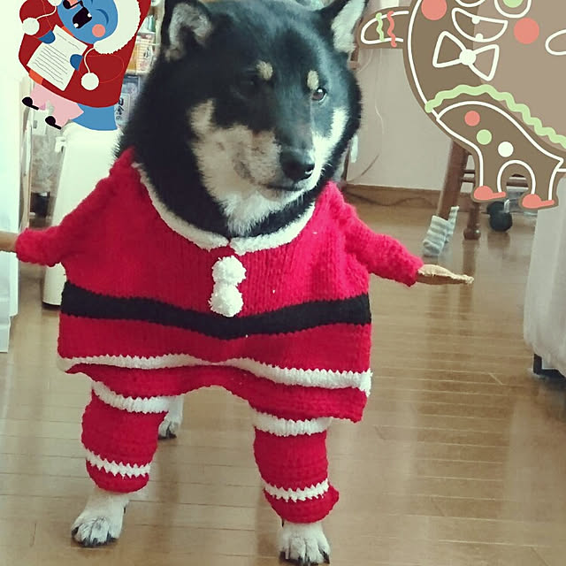 tsutawarimasuさんの実例写真