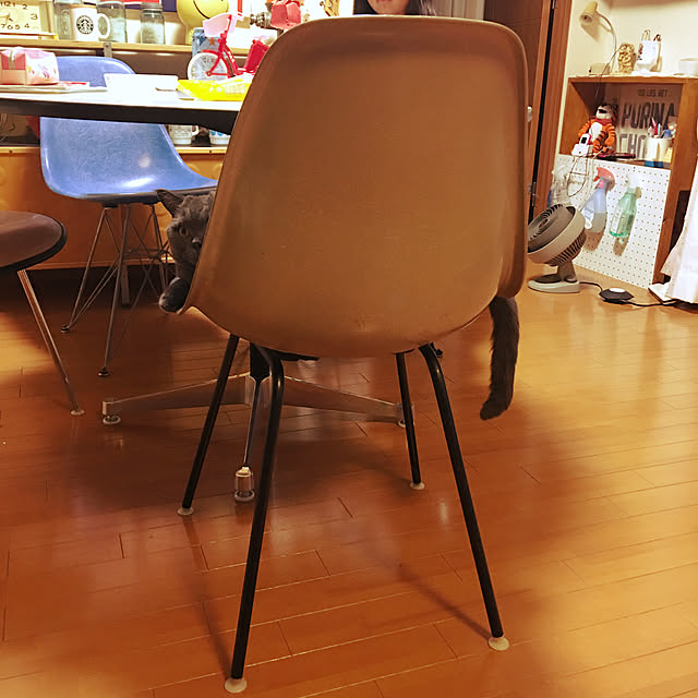 Shojiさんの実例写真