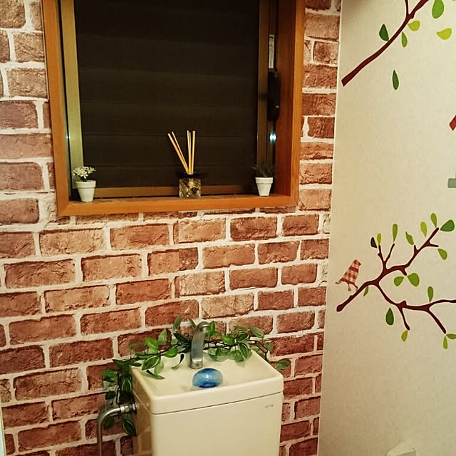 chieさんの実例写真