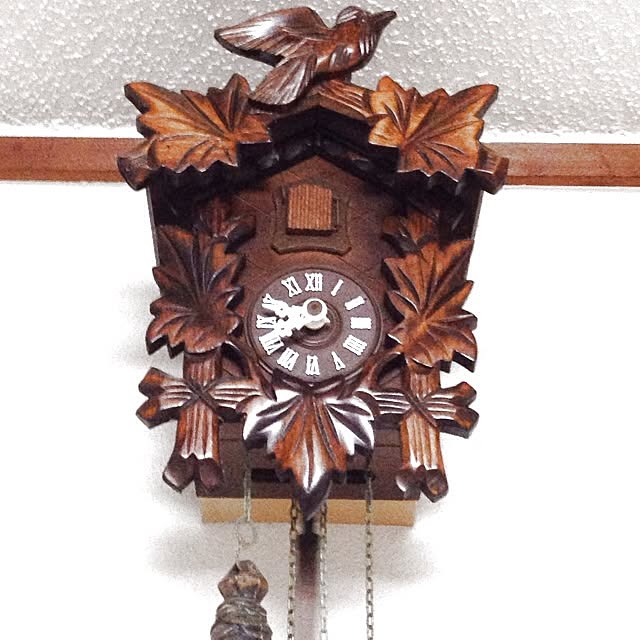 kinnさんの実例写真