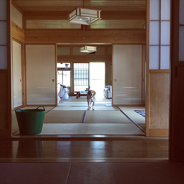 komichi-koさんの実例写真