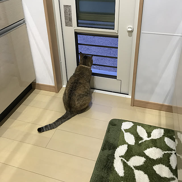 minakodeenさんの実例写真