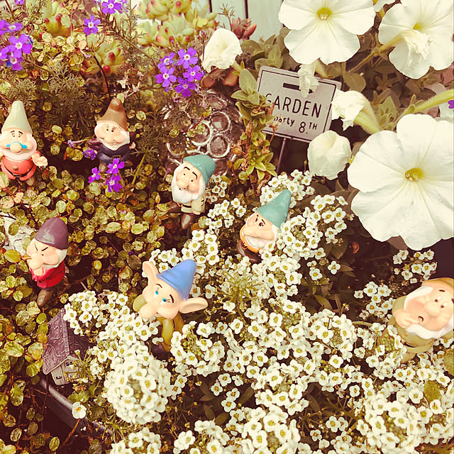 yumeichitoutaさんの実例写真