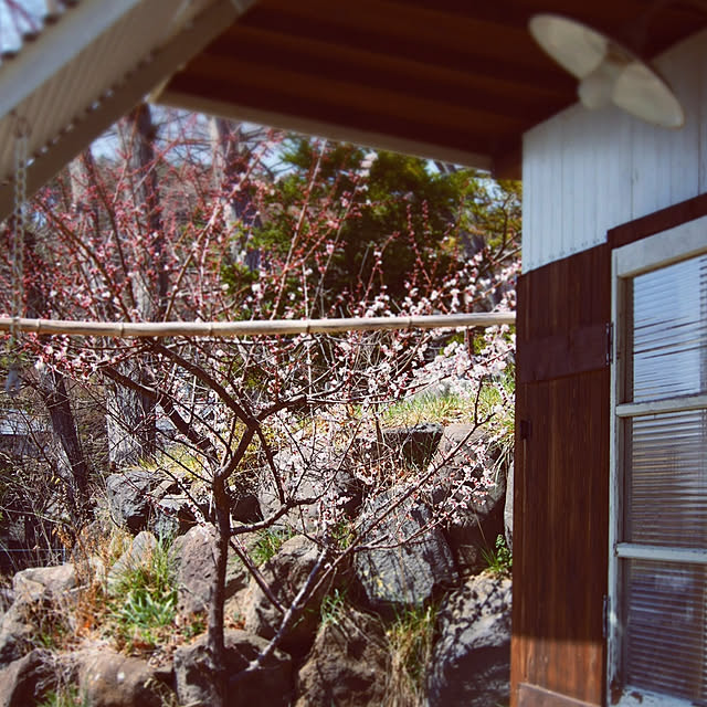 yukiさんの実例写真