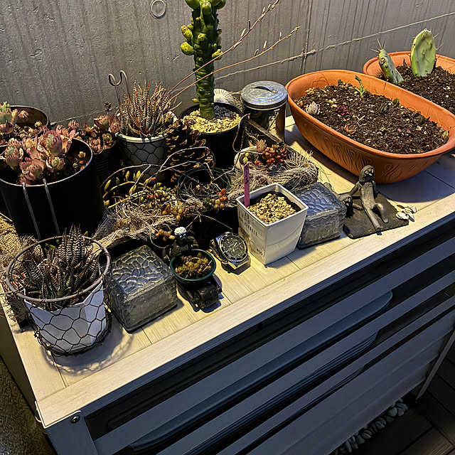 tomotomoさんの部屋