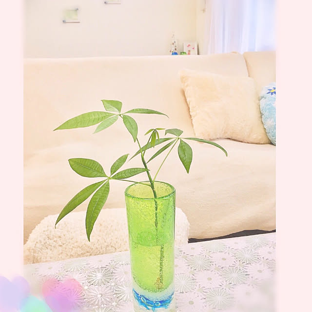 hatsu.0202さんの実例写真