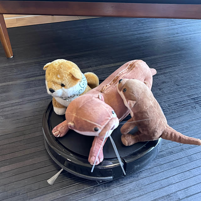 aureaさんの部屋