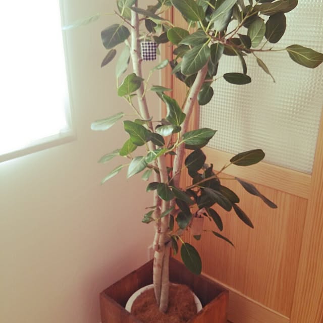 amoiさんの実例写真