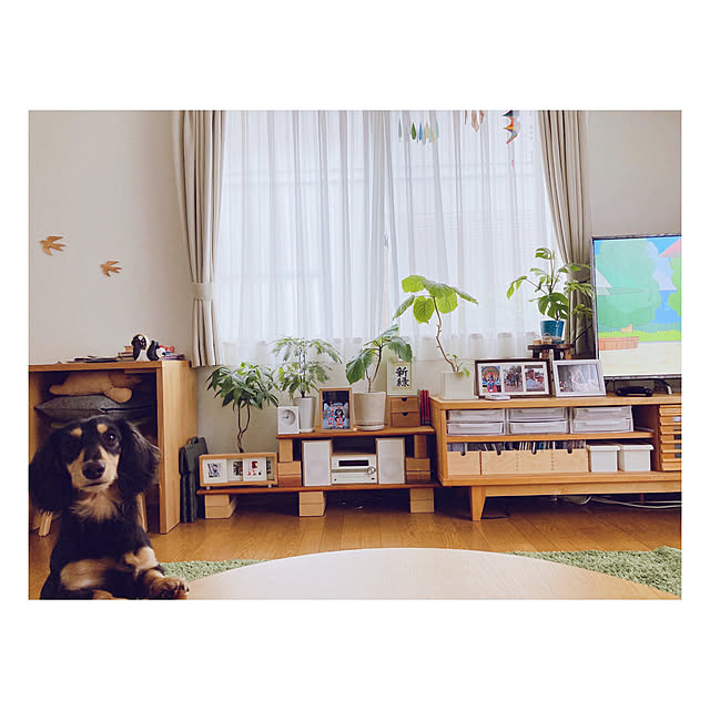 yukoさんの実例写真
