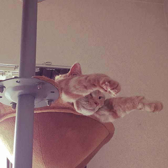 minaminaさんの実例写真