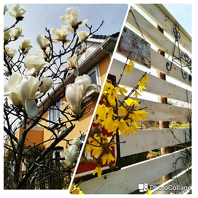 kikusukeさんの実例写真