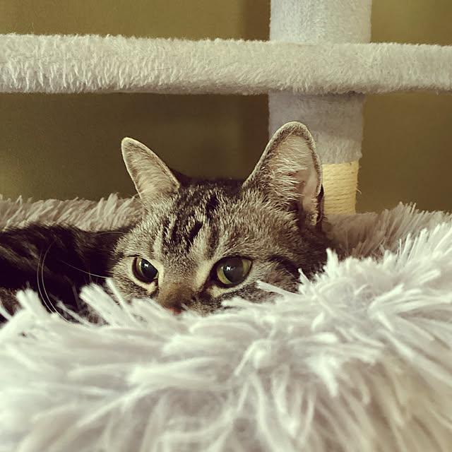 richanさんの部屋