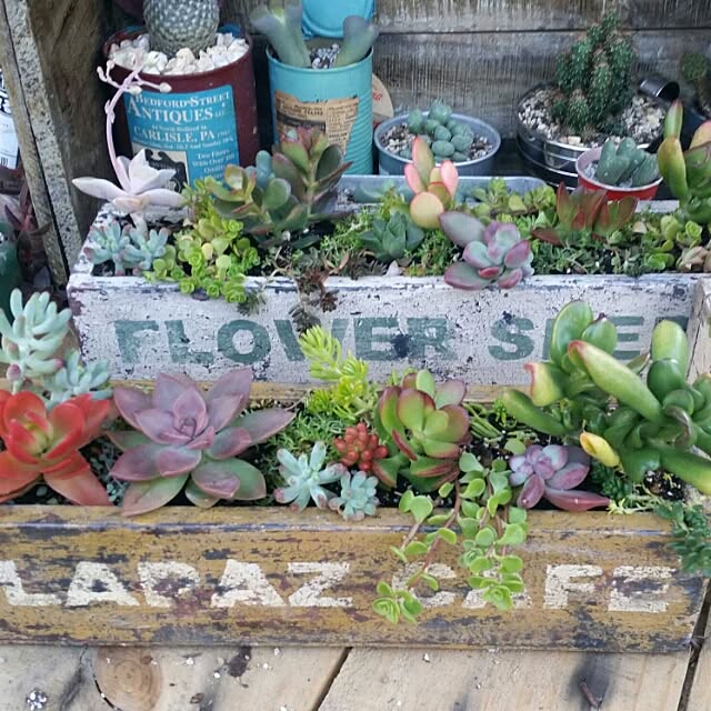 scrapheaven55さんの実例写真