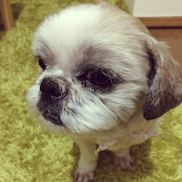 lenkaさんの実例写真