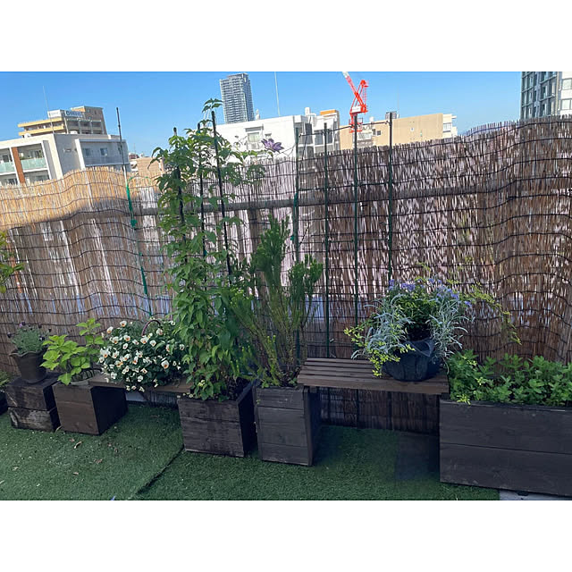 WOODPROさんの部屋