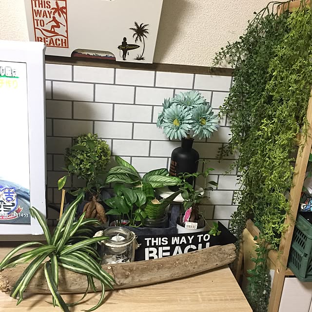 unoさんの実例写真
