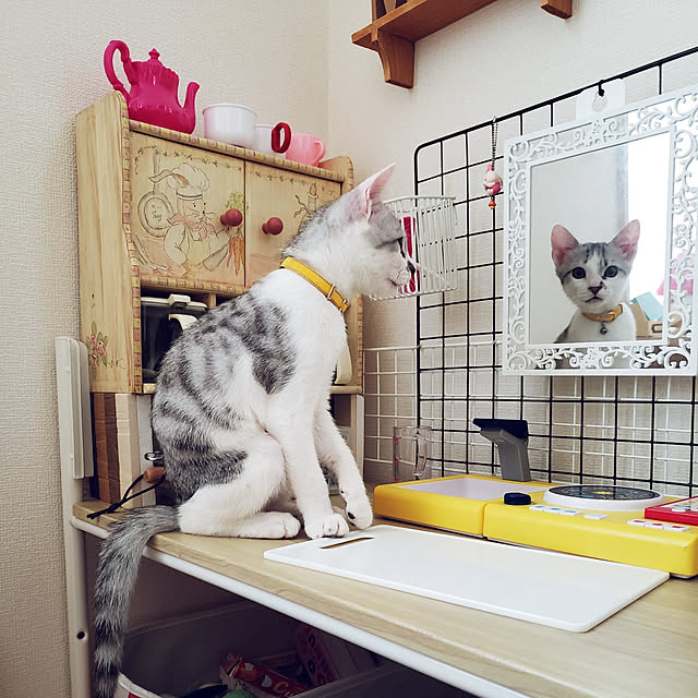 momo-maruさんの実例写真
