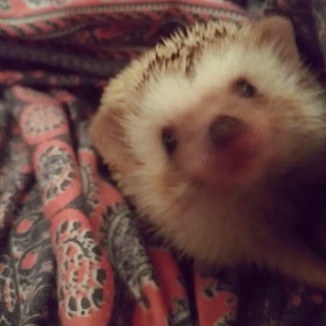 kuruさんの実例写真