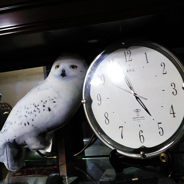 kikusukeさんの実例写真