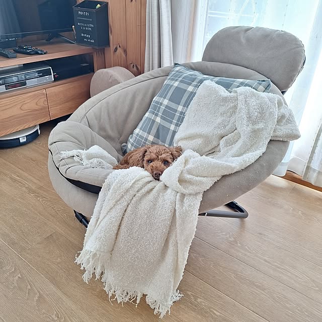 Blancheさんの部屋