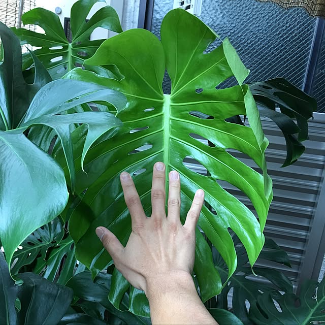 TSUYOSHIさんの実例写真
