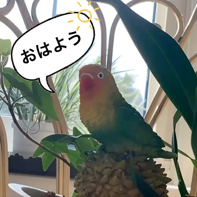 Masamiさんの実例写真