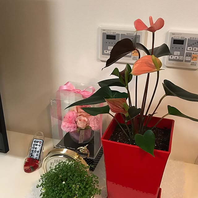 hamutarohさんの実例写真