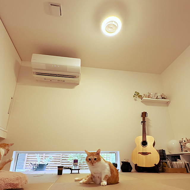 lemonadeさんの部屋